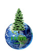 Forever Green Recycling