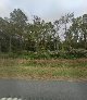 South Carolina Wood Waste Management